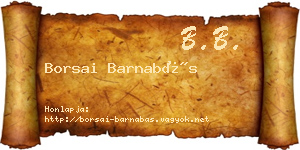 Borsai Barnabás névjegykártya
